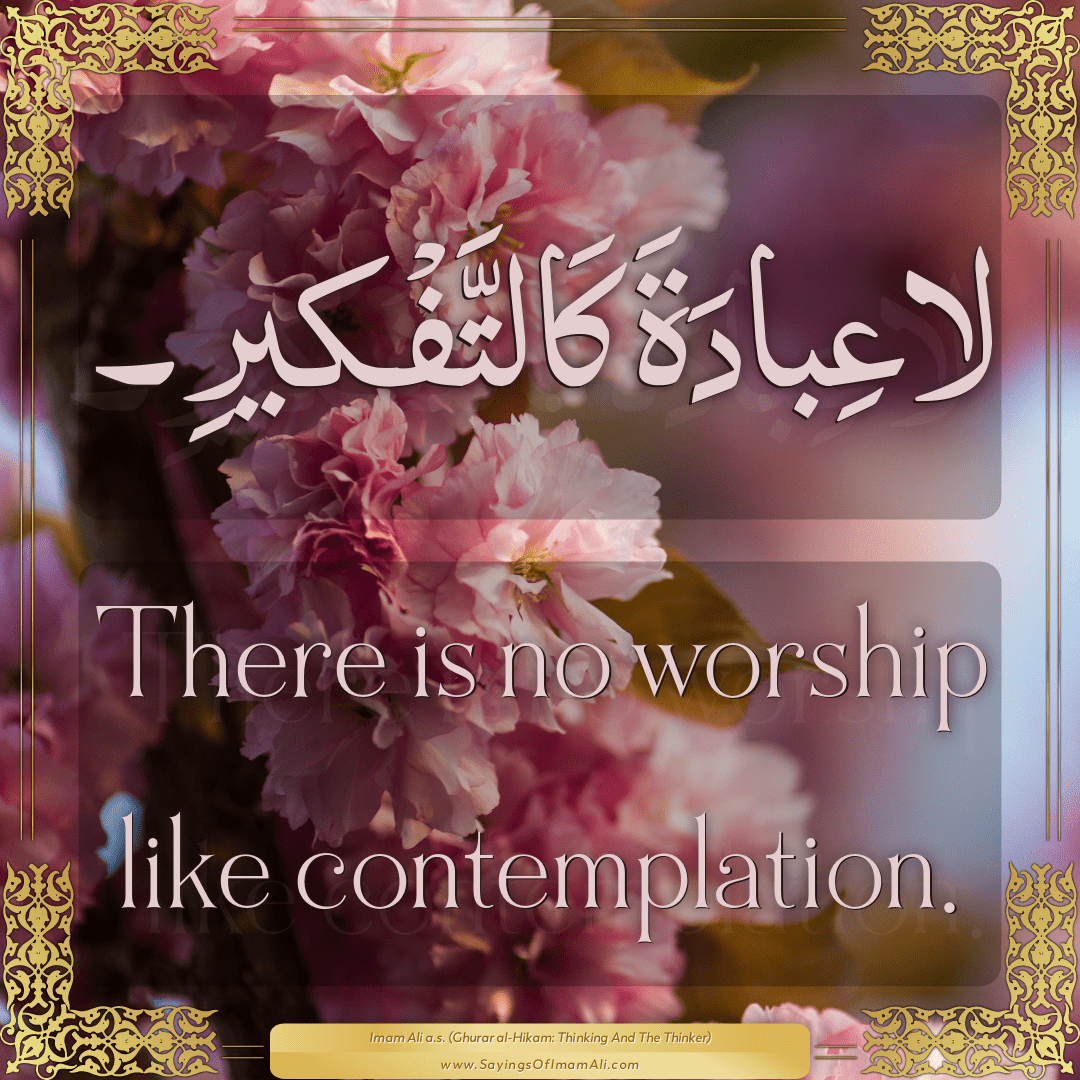 There is no worship like contemplation.